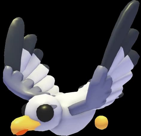 Seagull