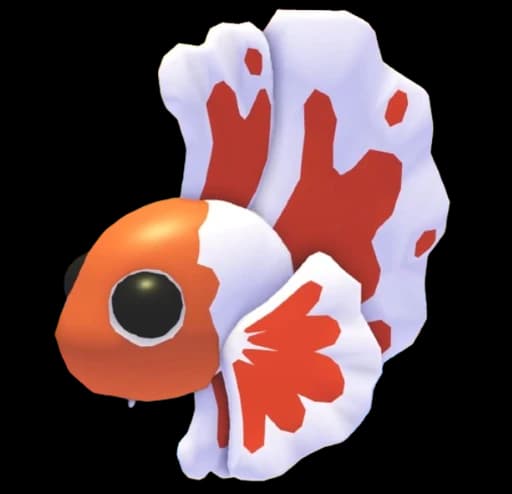 Orange Betta Fish