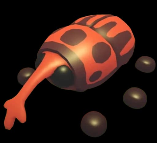 Weevil