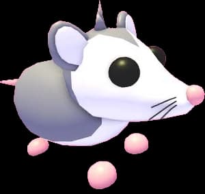 Possum