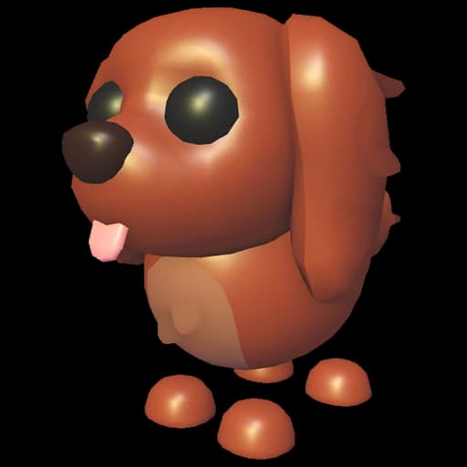 Irish Setter
