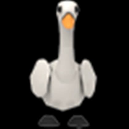 Swan