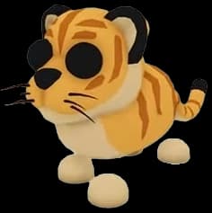 Liger