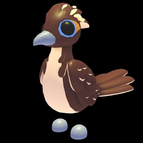 Roadrunner
