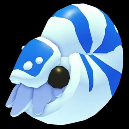 Nautilus