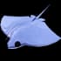 Stingray