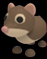 Shrew