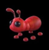Ant