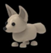 Fennec Fox