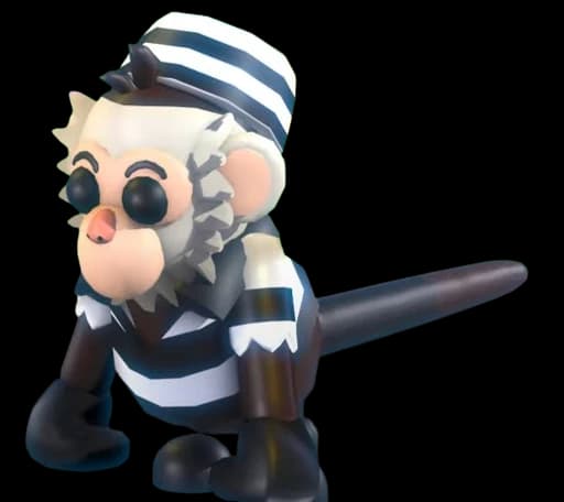 Inmate Capuchin Monkey