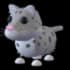 Snow Leopard
