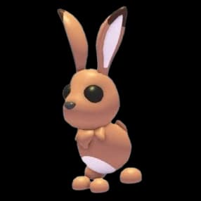 Hare