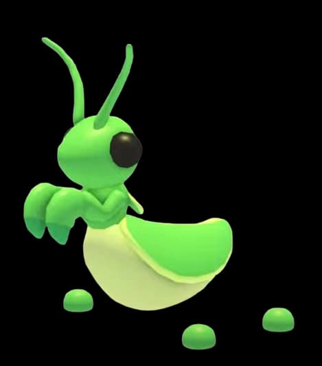 Praying Mantis