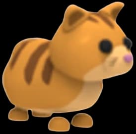 Ginger Cat