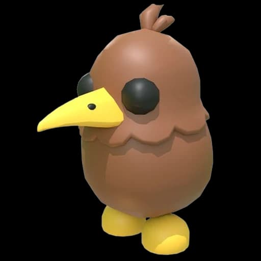 Kiwi