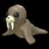 Walrus