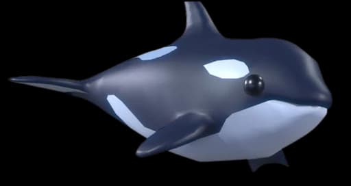 Orca